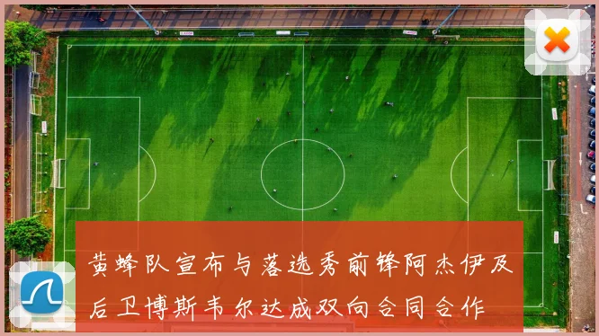 黄蜂队宣布与落选秀前锋阿杰伊及后卫博斯韦尔达成双向合同合作